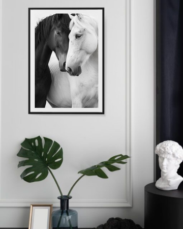 Black and White Horses Art Frame