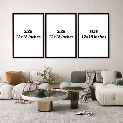 Set of 3 Frames - Blush Botanical Serenity